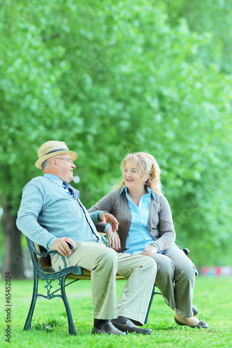 Mature couple having a conversation in park © Ljupco Smokovski