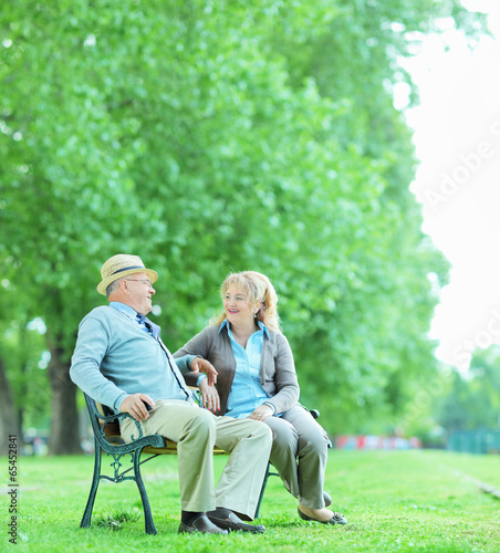 Mature couple talking seated on bench in park © Ljupco Smokovski