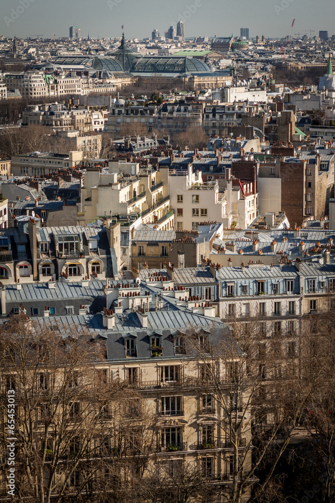Fototapeta premium View over the rooftops of Paris