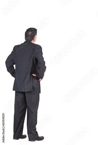 Mature businessman standing with hands on hips