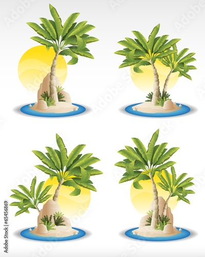 tropical  island
