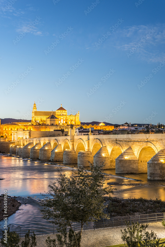Obraz premium Guadalquivir river in Cordoba, Andalusia, Spain.