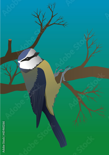 An illustration of a blue tit hanging on a branch