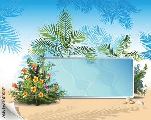 tropical background