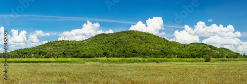 Panorama mountain green