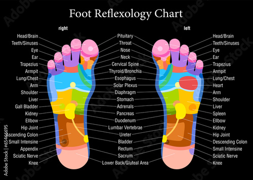 Foot reflexology chart black description