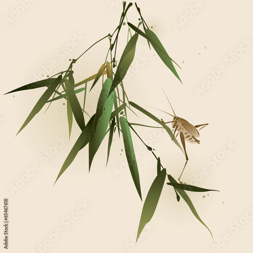 Grasshopper on bamboo leaves