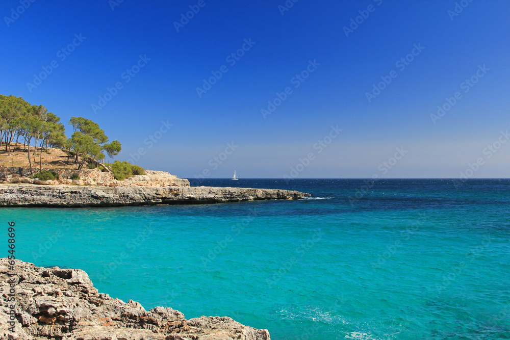 Obraz premium ostküse auf mallorca