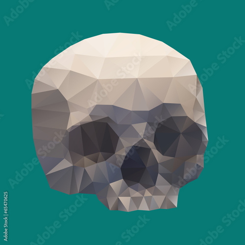 Human Skull in a Triangular Style
