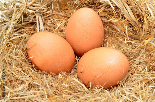 a pile of brown eggs in a nest