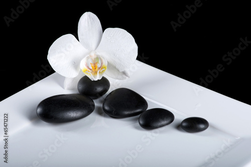 step stones decoration with orchid