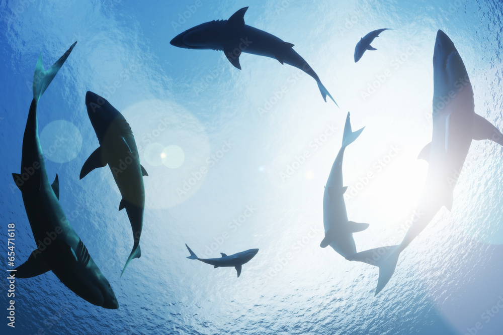 Obraz premium Szkoła rekinów krążących z góry