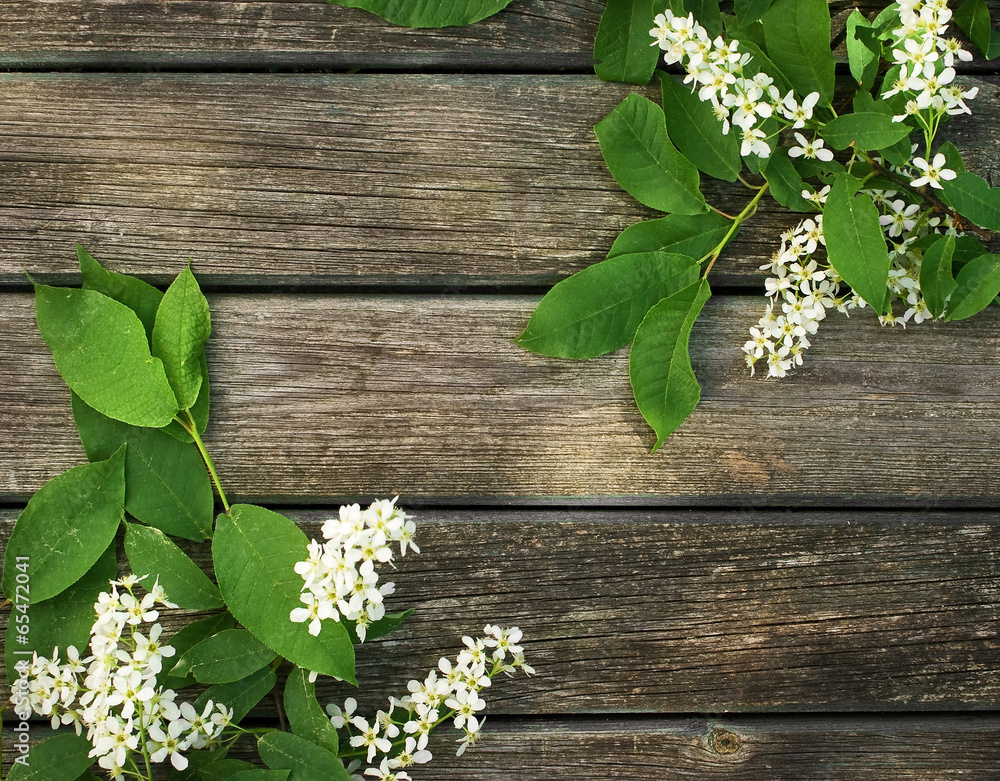 bird cherry on wooden board bird cherry on wooden board