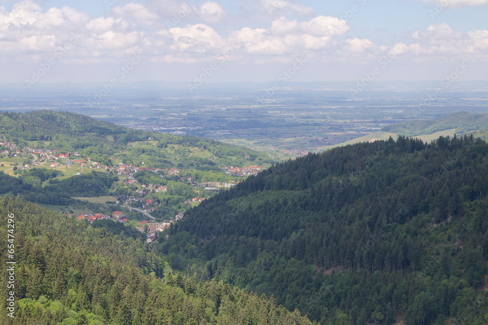 Naklejka premium Black Forest Panorama