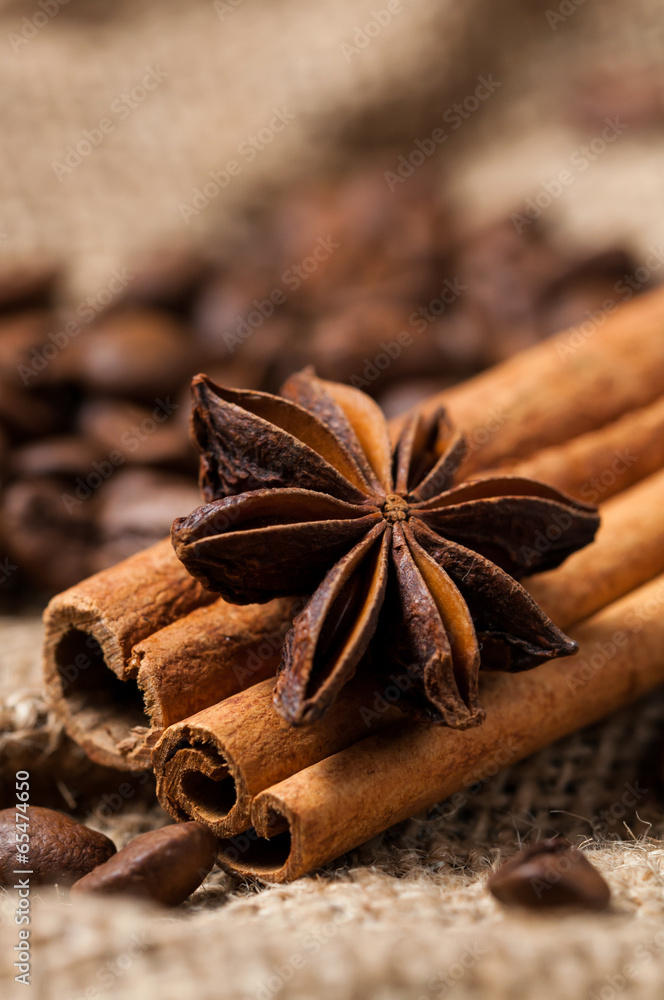 Aniseed, coffee beans and cinnamon. Macro shot. Aniseed, coffee beans and cinnamon. Macro shot.