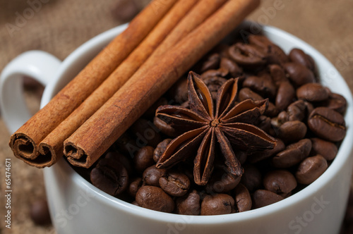 Aniseed, cinnamon and coffee beans in the cup.