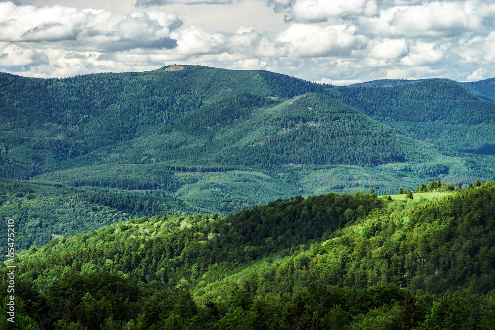Fototapeta premium Bird-fly Alsace panoramic view