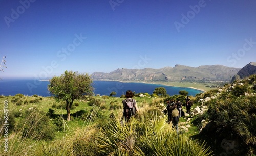 Trekking a Monte Cofano #65477060