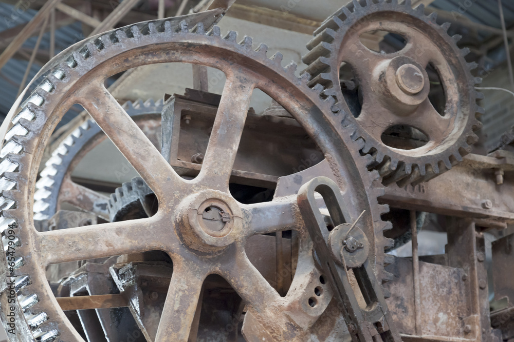 Close-up of cog wheels of a machine