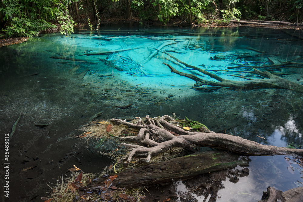 Fototapeta premium Pool blue forest in Thailand.