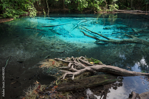 Fototapeta Naklejka Na Ścianę i Meble -  Pool blue forest in Thailand.