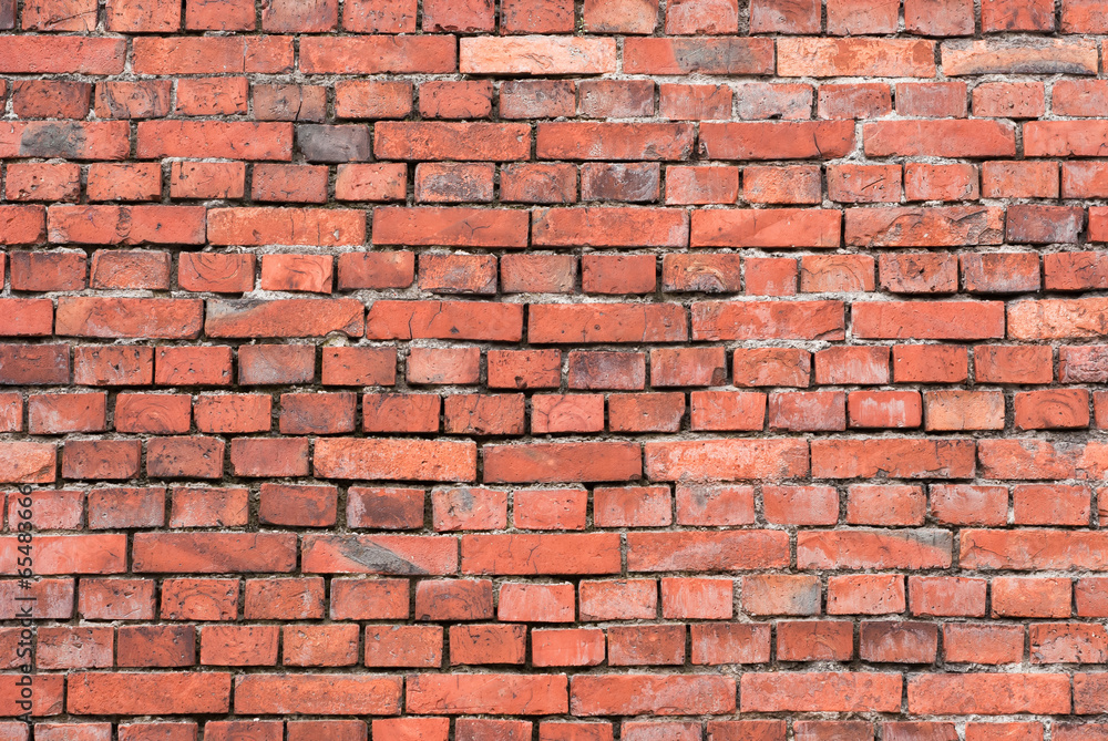 Obraz premium Brick Wall - Background
