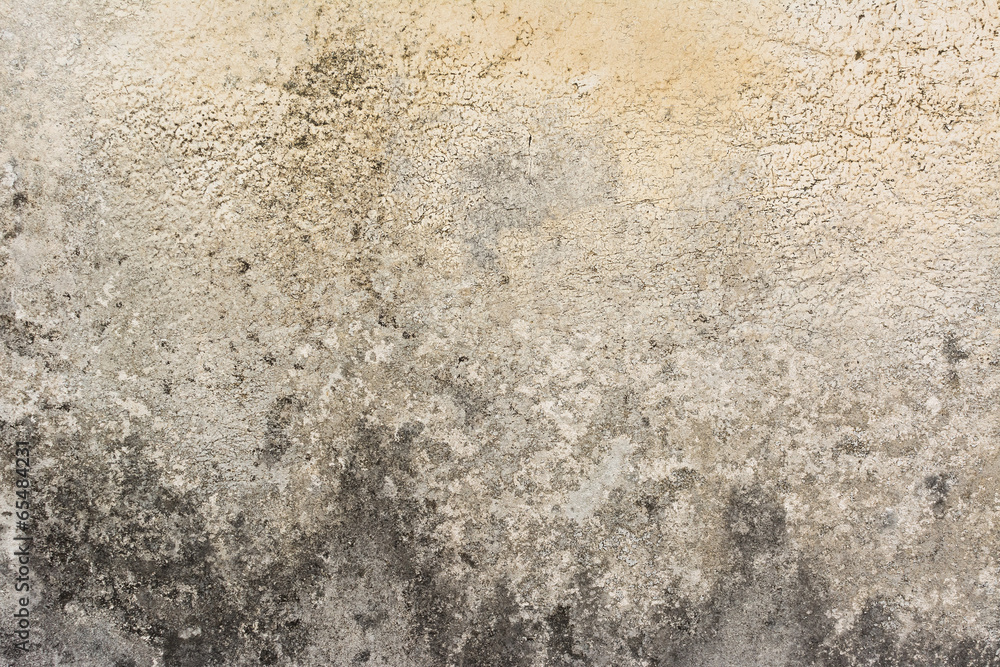 Fototapeta premium Textured background