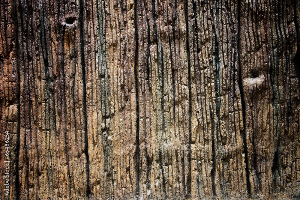 Obraz premium Texture of the old weathered wood.