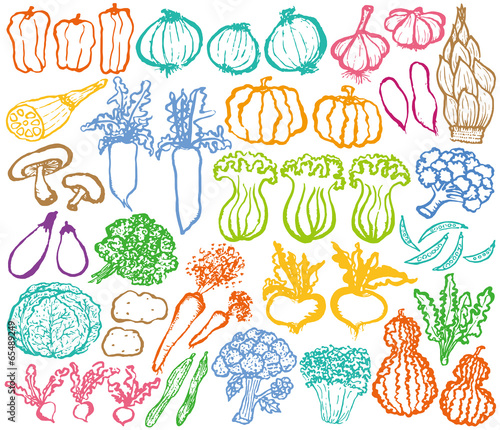 野菜　マルシェ　手描きイラスト