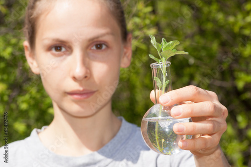 Green plant in glass flask