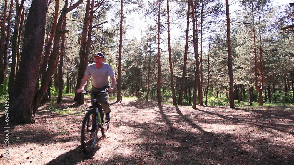 cyclist slow ride in wood. cyclist slow ride in wood.