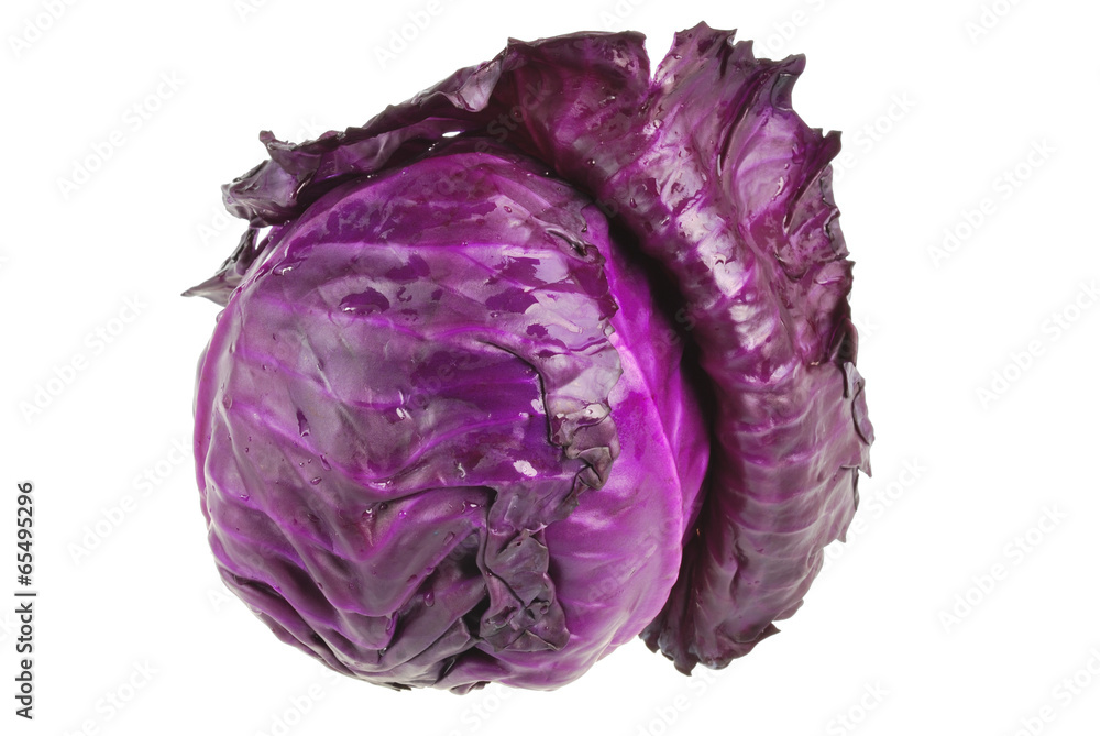 Fototapeta premium cabbage isolated on white background