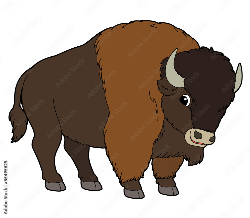 Obraz premium Cartoon animal - buffalo - flat coloring style