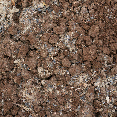 Bad quality earth soil © exopixel