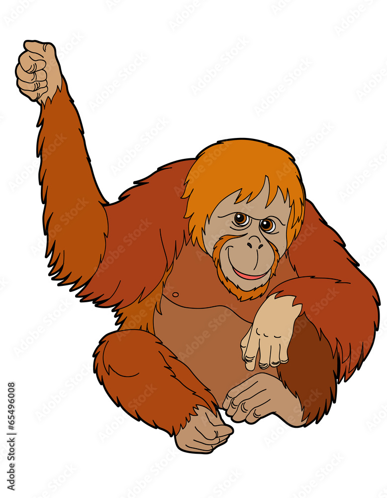 Cartoon animal - orangutan - illustration for the children Stock  Illustration | Adobe Stock