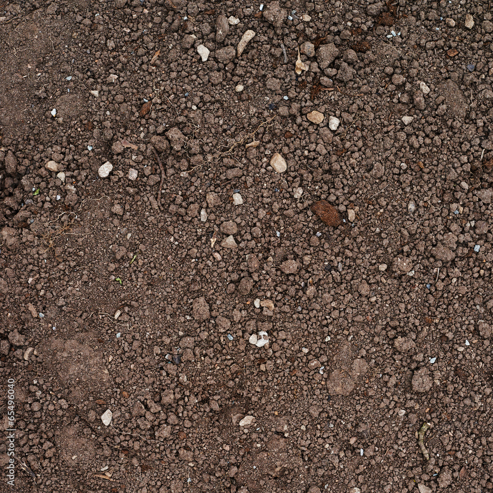 Brown earth fragment Brown earth fragment