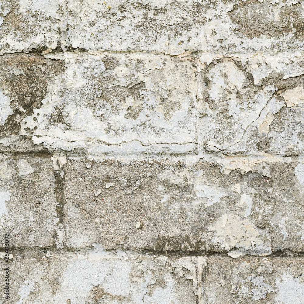 Obraz premium Old white brick wall fragment