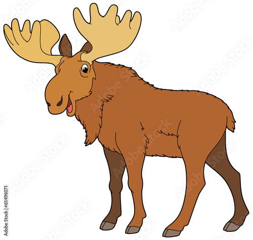Cartoon animal - moose -  illustration for the children