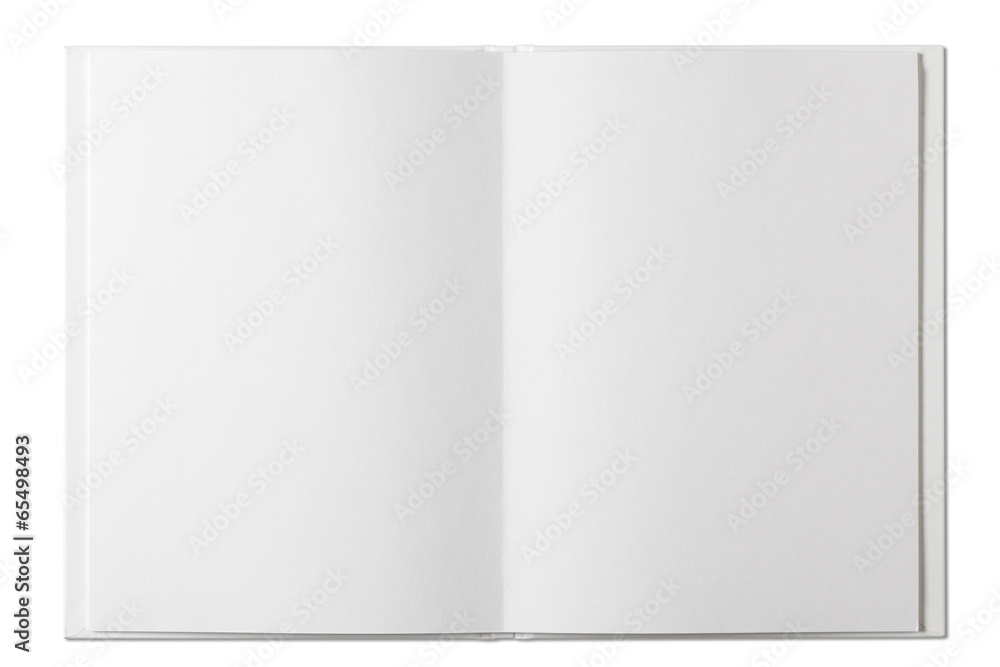 Blank Book Blank Book
