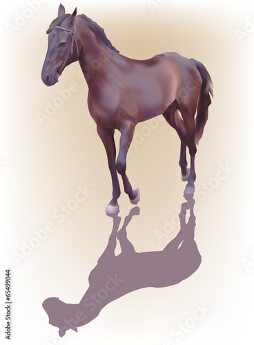 brown horse with shadow on light background