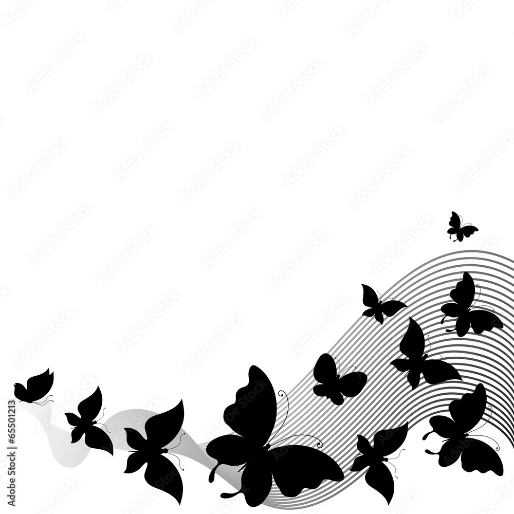 Obraz premium butterflies design