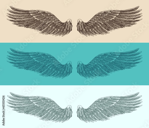 angel wings set illustration, engraved style, hand drawn