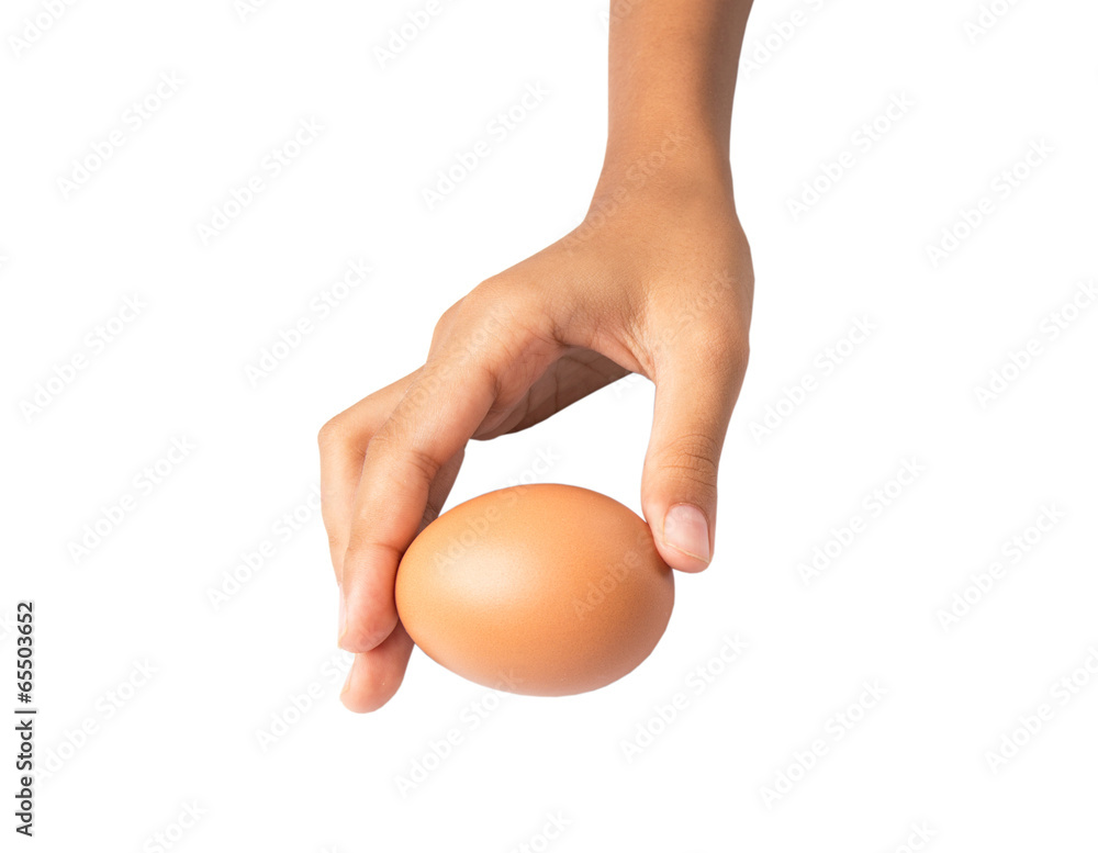 Young girl hand holding a chicken egg Young girl hand holding a chicken egg