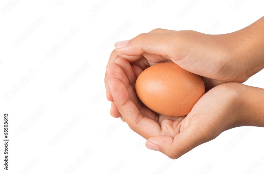 Young girl hand holding chicken eggs Young girl hand holding chicken eggs
