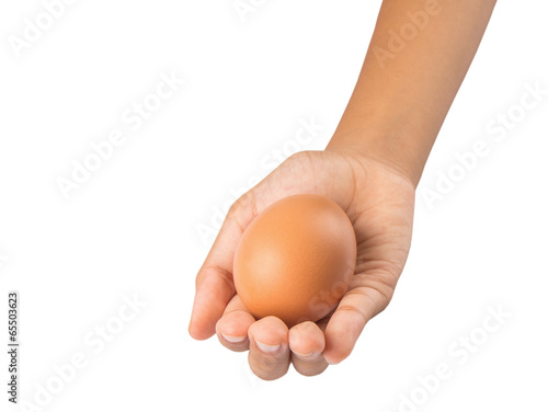 Young girl hand holding chicken eggs photo