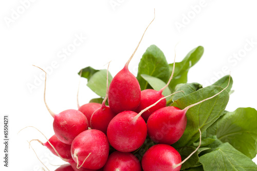 radish