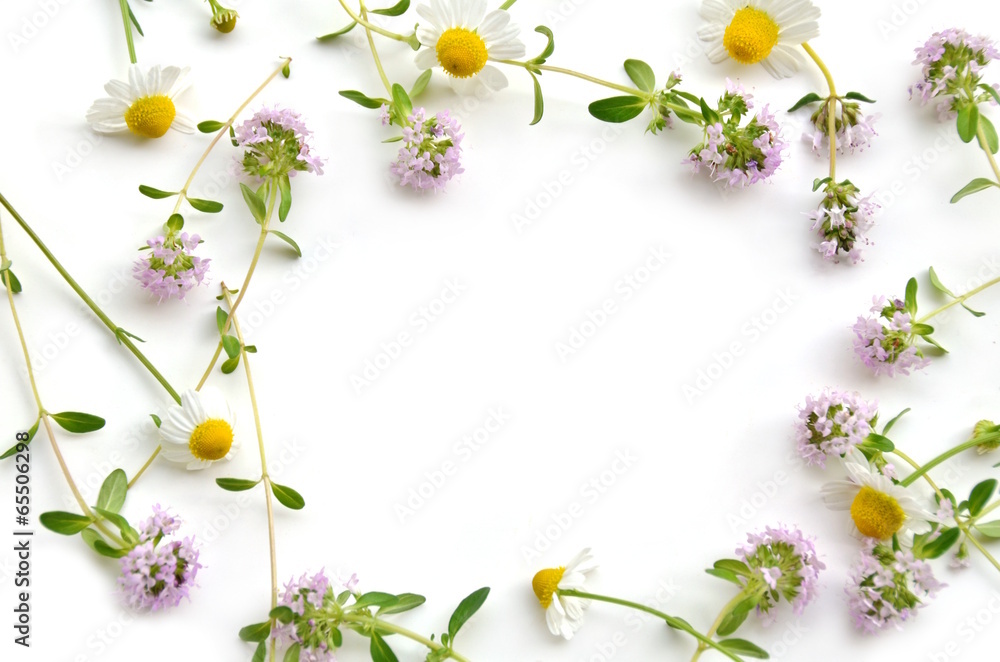 herbal flowers