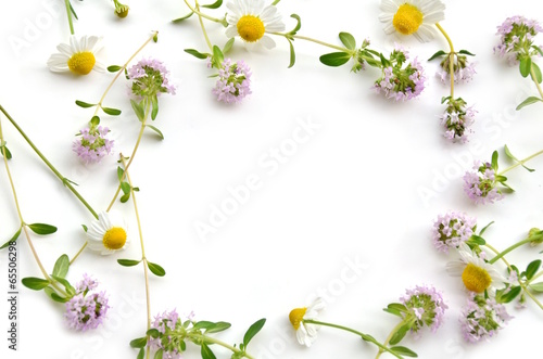 herbal flowers © Botamochy