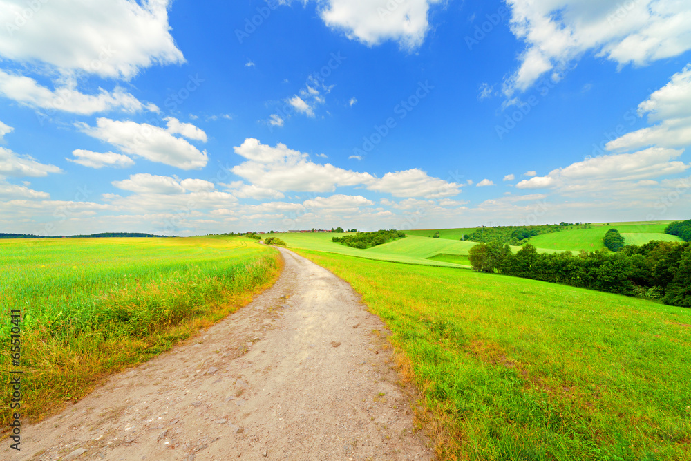 Fototapeta premium Landscape