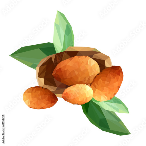 Illustration of polygonal almond seeds